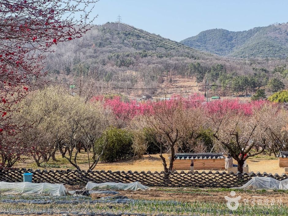 달성_남평문씨본리세거지 (4)