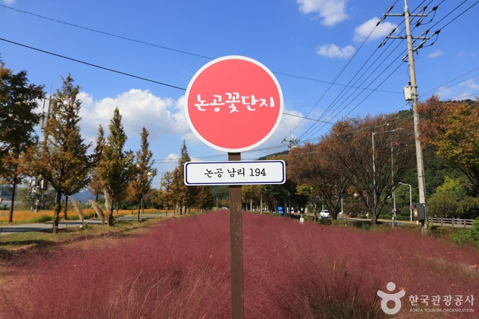 논공꽃단지 (11)