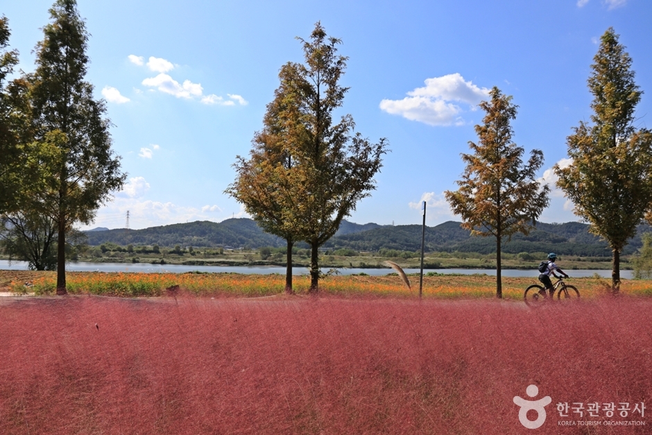 논공꽃단지 (14)