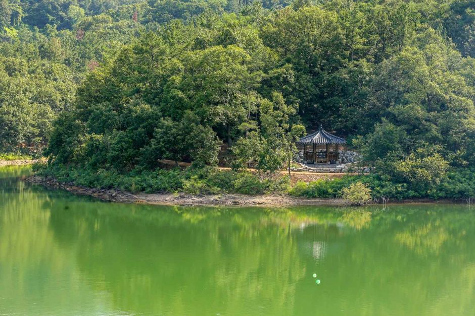 대구동구 단산 저수지 (5)