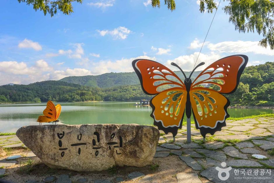 대구동구 단산 저수지 (7)