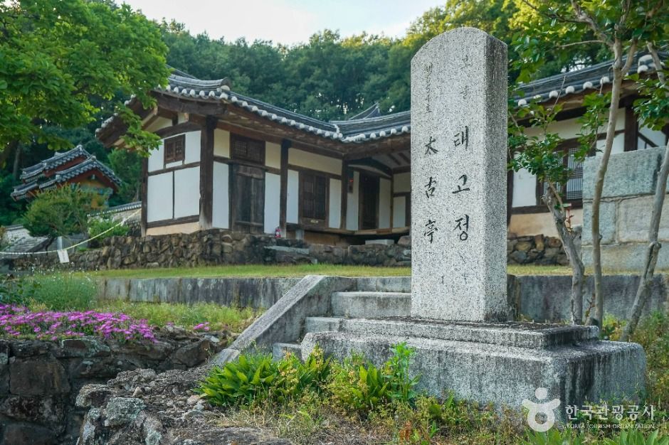 대구_달성 태고정 (5)