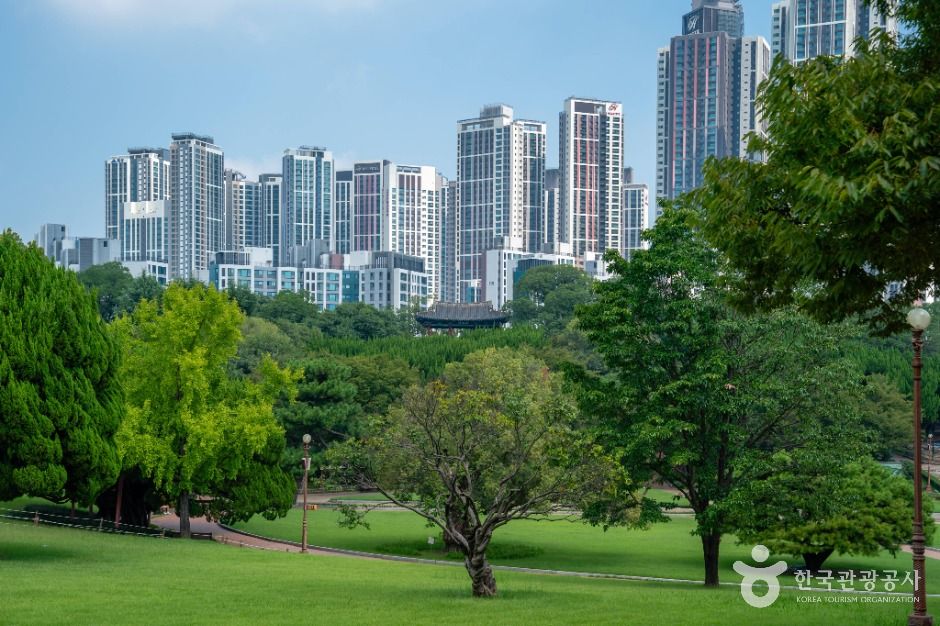대구_대구 달성공원 (3)