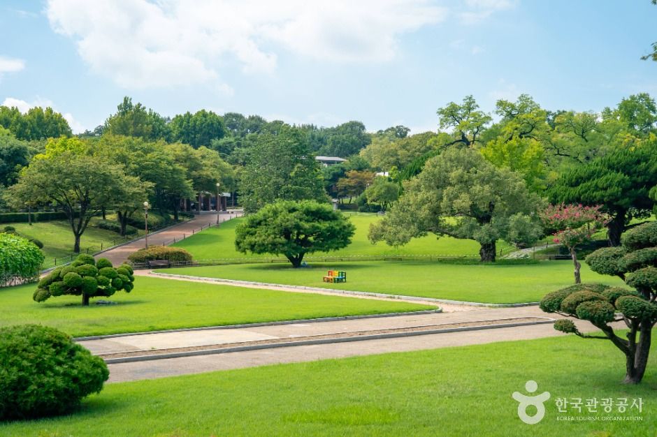 대구_대구 달성공원 (6)