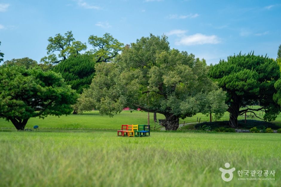 대구_대구 달성공원 (7)