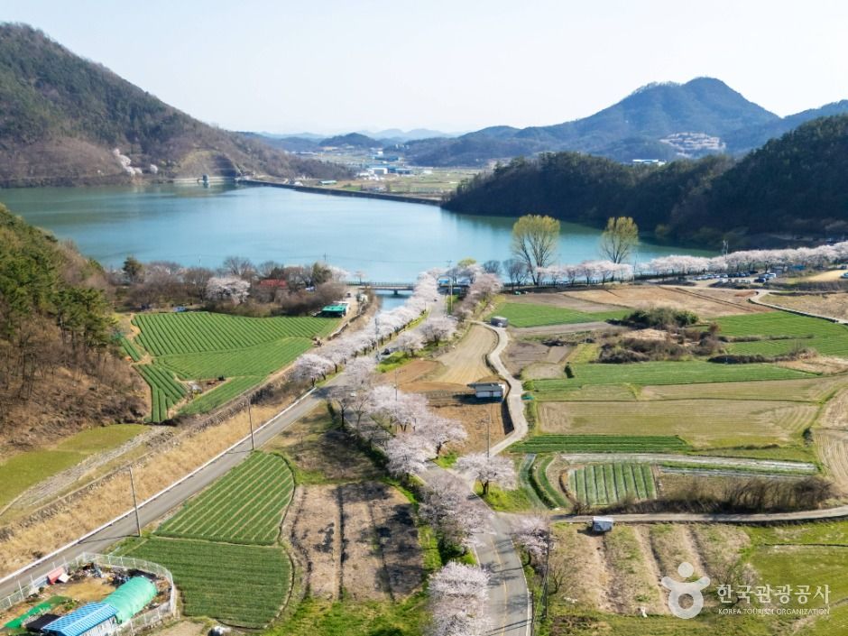 달성_달창저수지 (2)