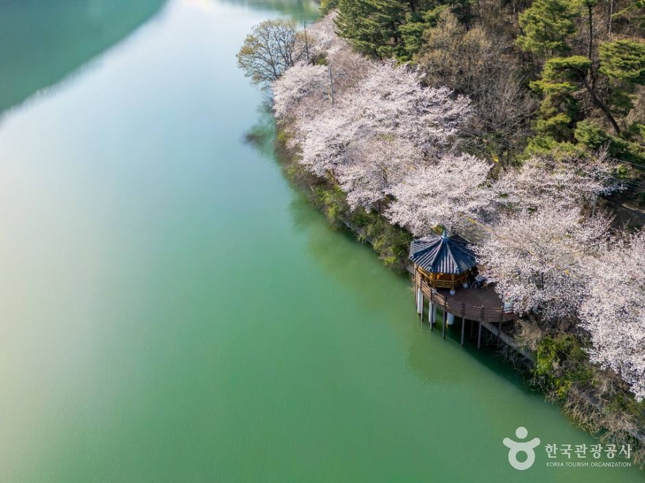 달성_달창저수지 (3)