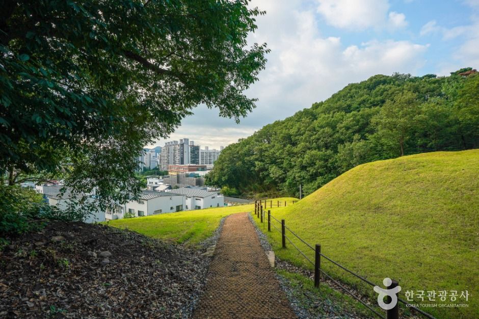 대구_대구 구암동 고분군 (3)