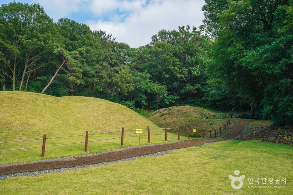 대구_대구 구암동 고분군 (4)