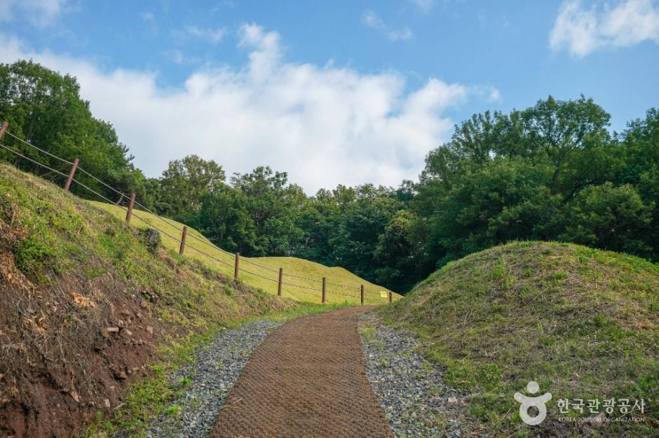 대구_대구 구암동 고분군 (6)