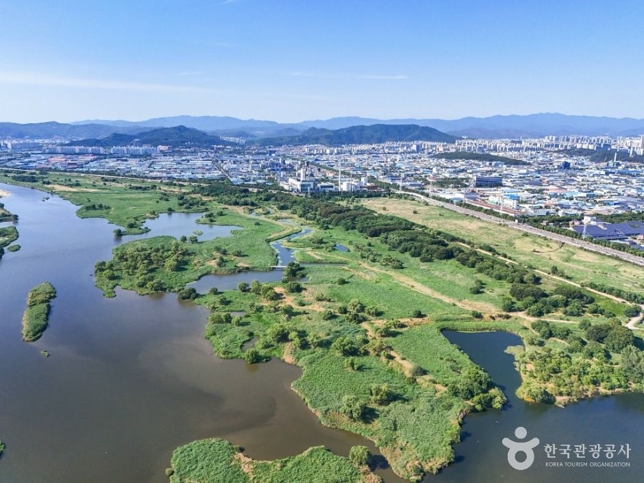 대구_대구 달성습지 (2)