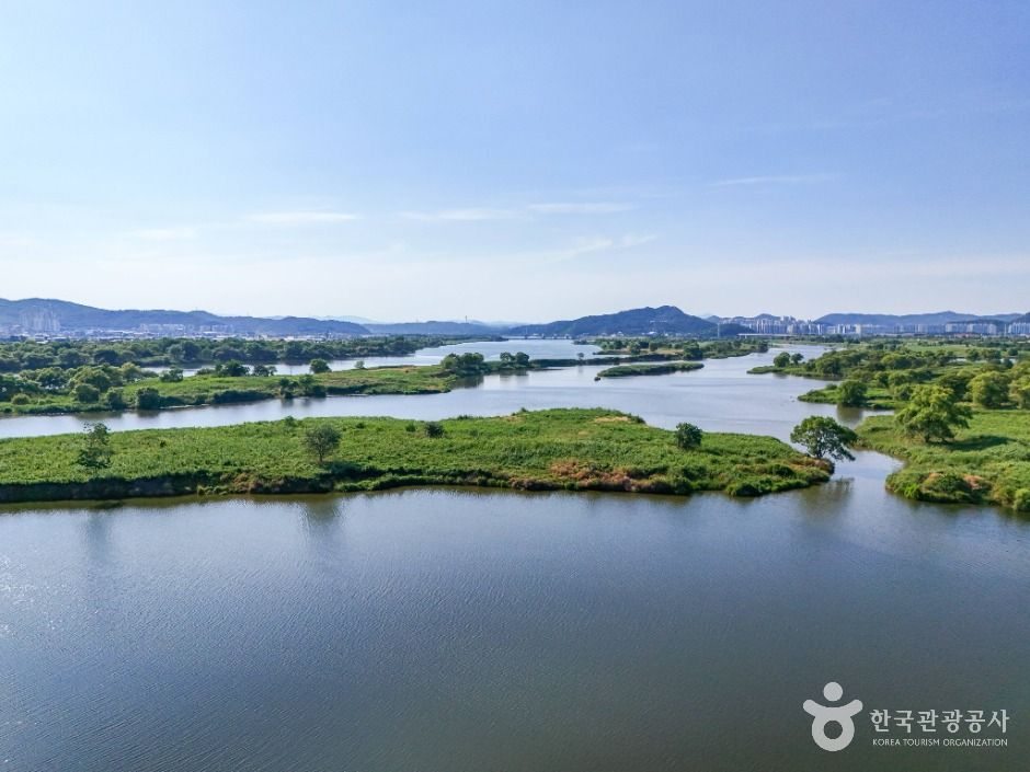 대구_대구 달성습지 (3)