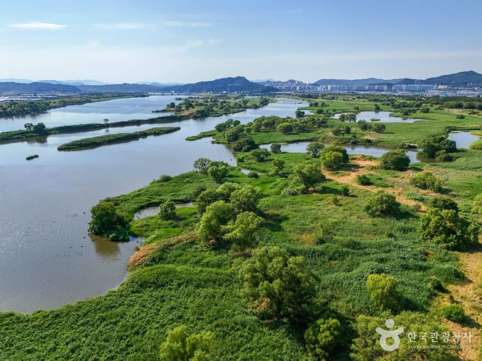 대구_대구 달성습지 (4)