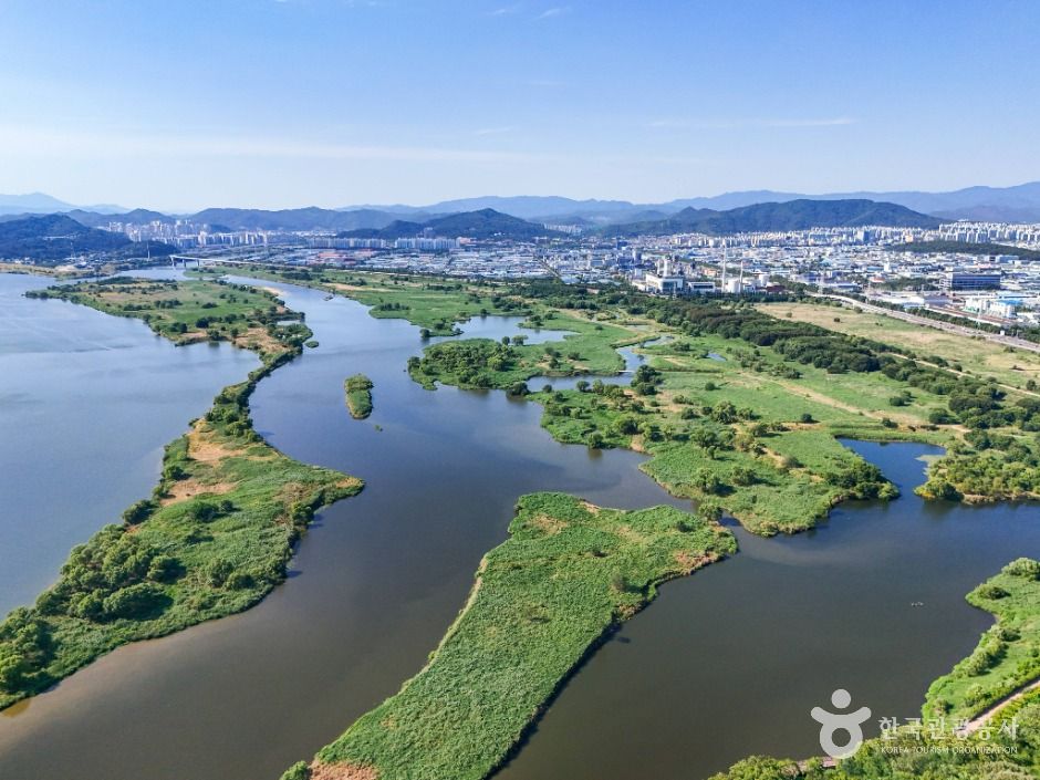 대구_대구 달성습지 (5)