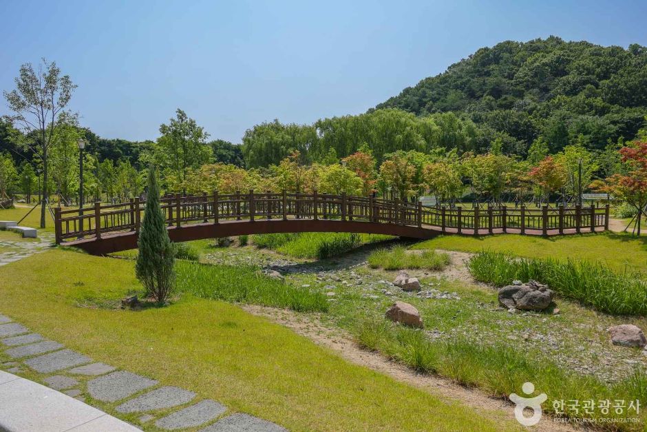 대구대표도시숲 (3)