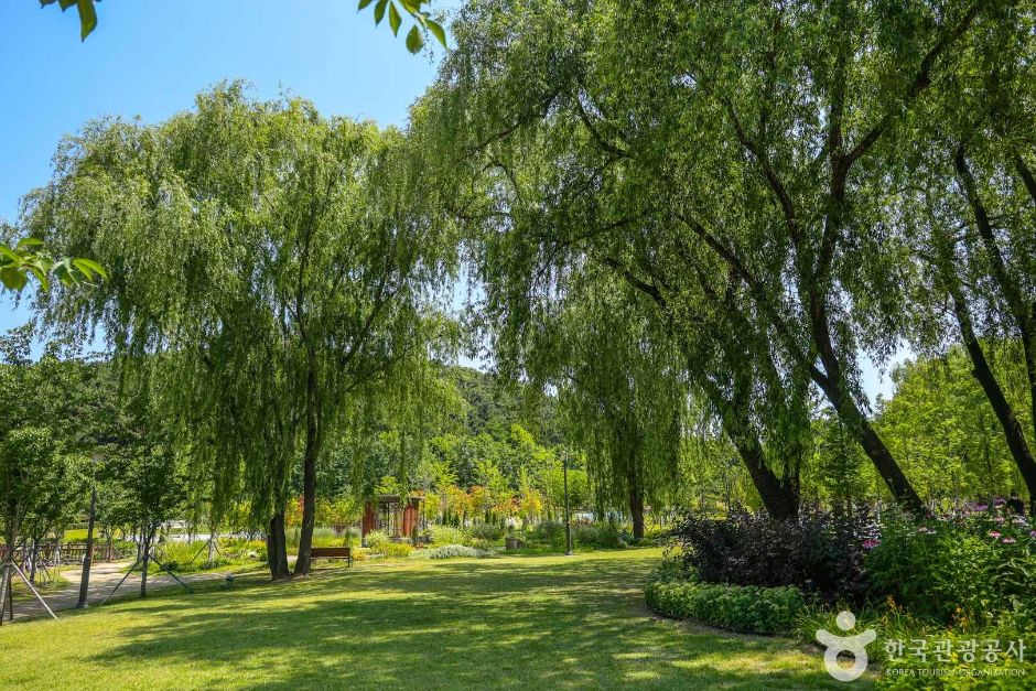 대구대표도시숲 (4)