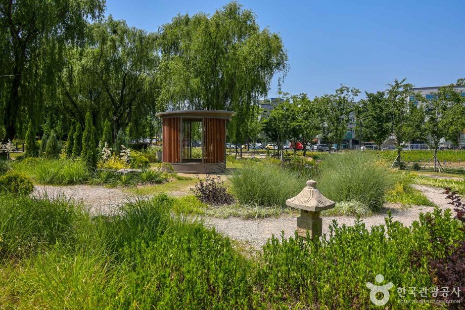 대구대표도시숲 (7)