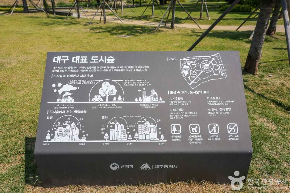 대구대표도시숲 (8)