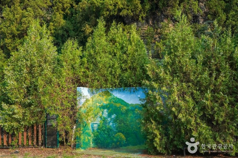 대구_대구 도동 측백나무 숲 (5)