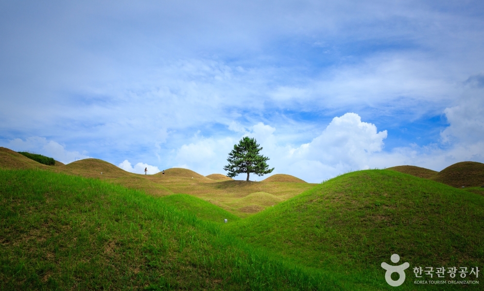 대구 불로동 고분군 (11)