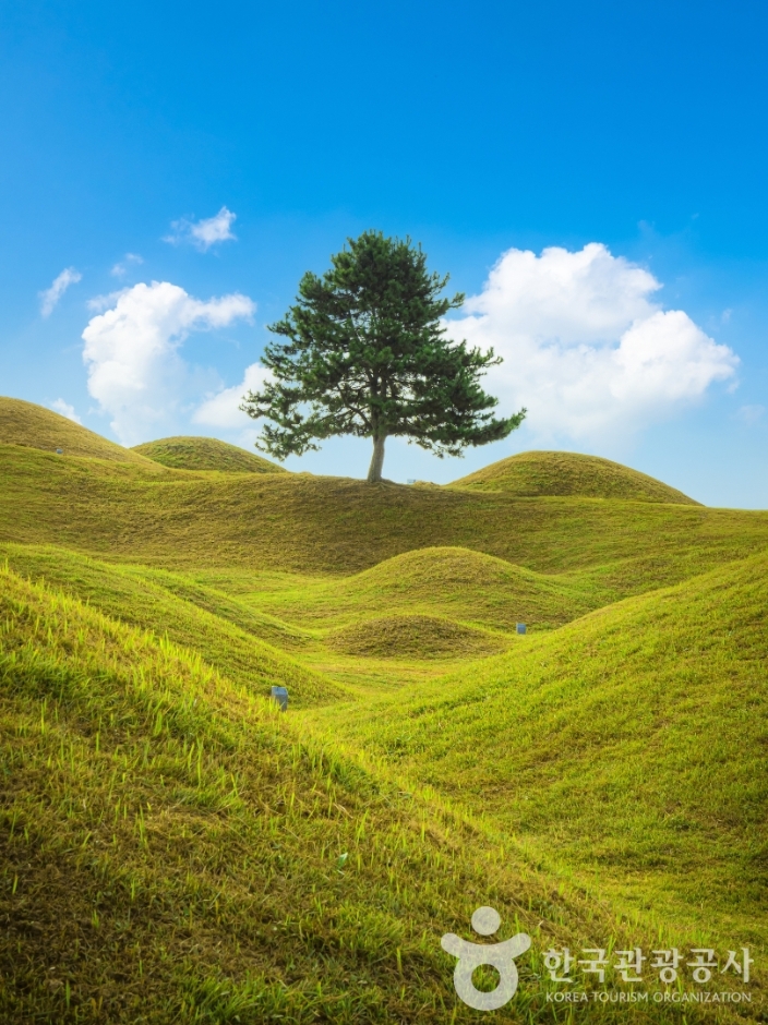 대구 불로동 고분군 (1)
