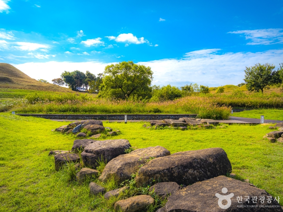 대구 불로동 고분군 (3)