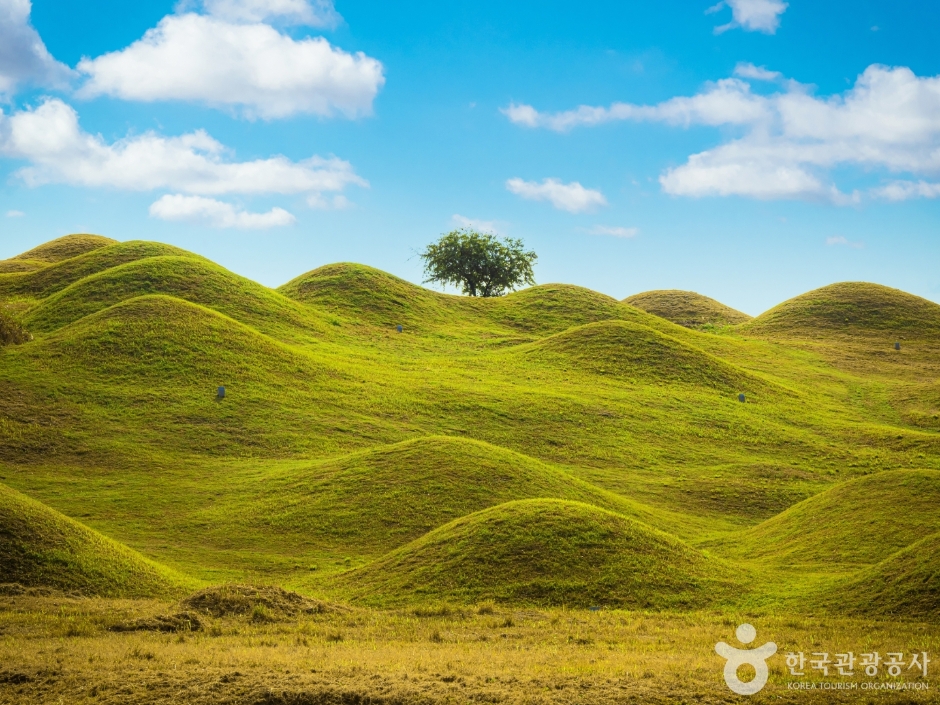 대구 불로동 고분군 (4)