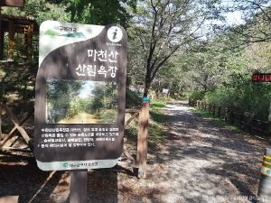 마천산산림욕장