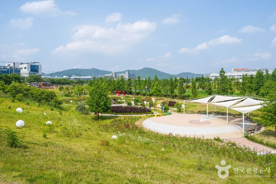 대구_대구 세천늪테마정원 (2)