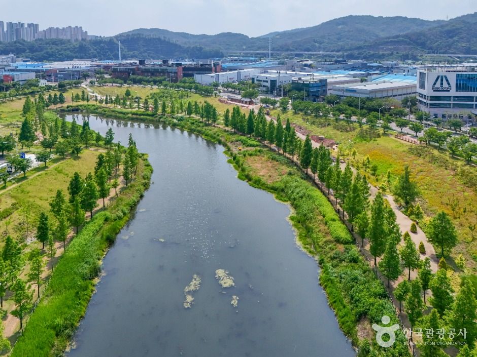 대구_대구 세천늪테마정원 (7)