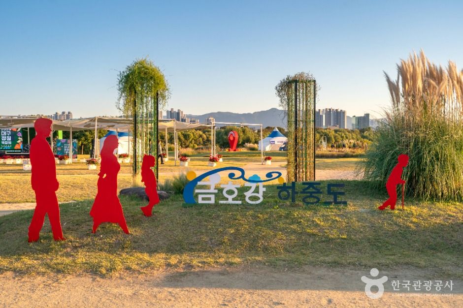 대구_대구_하중도(금호꽃섬) (2)