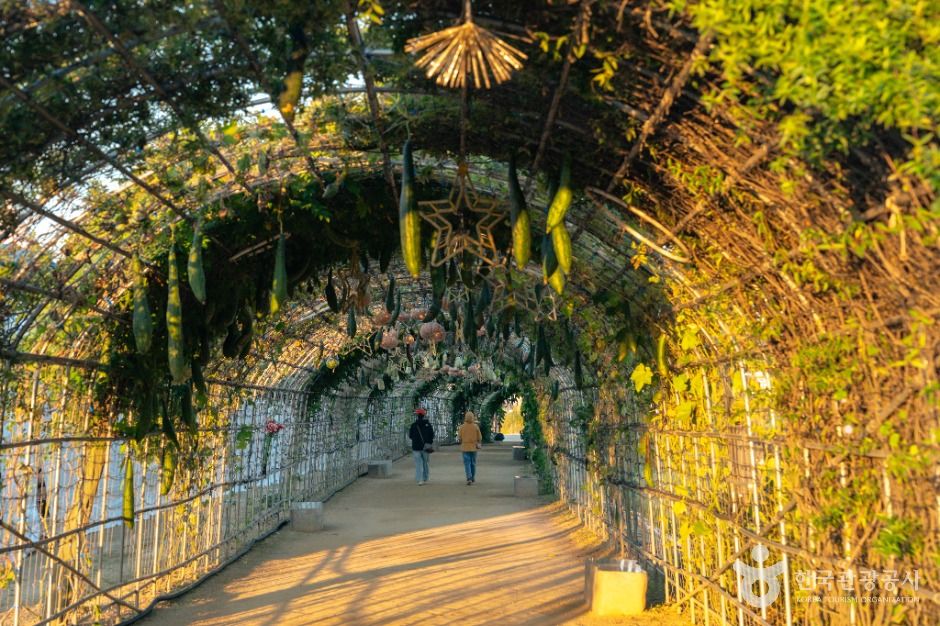 대구_대구_하중도(금호꽃섬) (5)