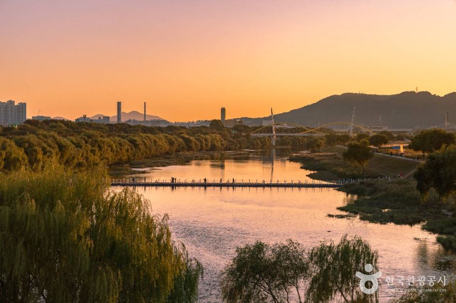 대구 하중도 (금호꽃섬)