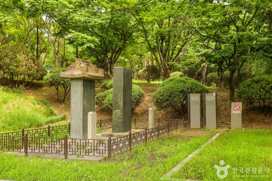 대구부수성비 (4)