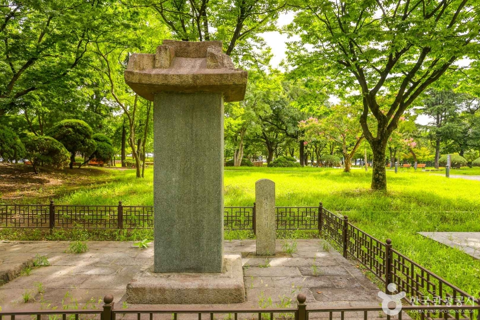 대구부수성비 (5)