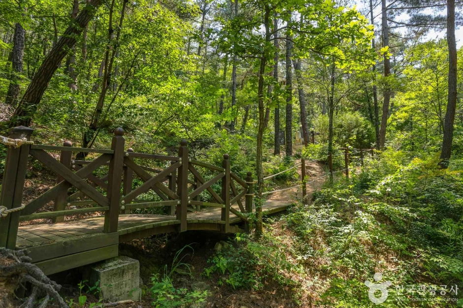 대구앞산공원 (1)