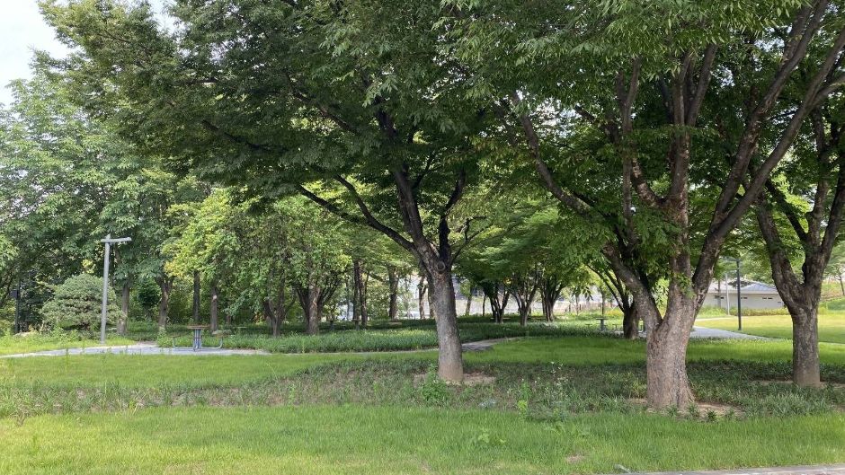 대구_대구어린이대공원 (8)