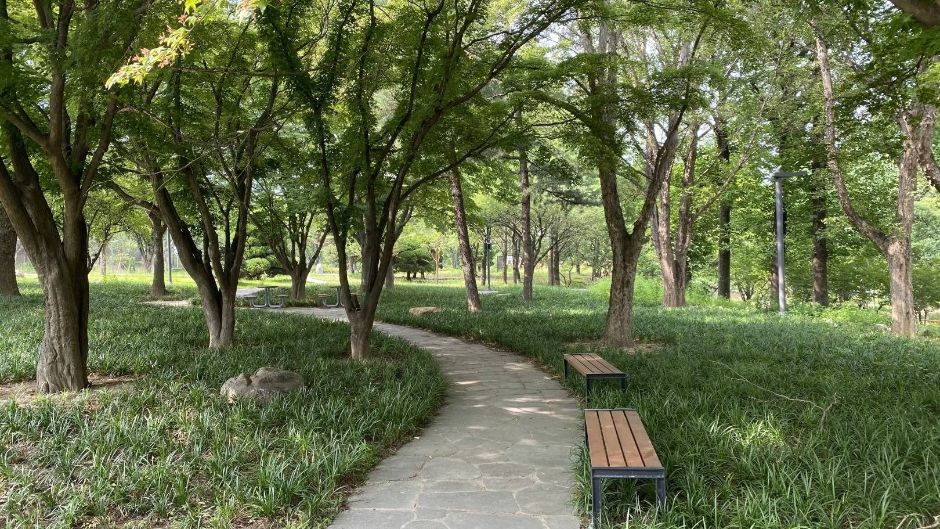 대구_대구어린이대공원 (10)