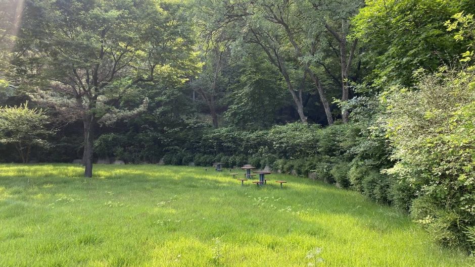 대구_대구어린이대공원 (16)