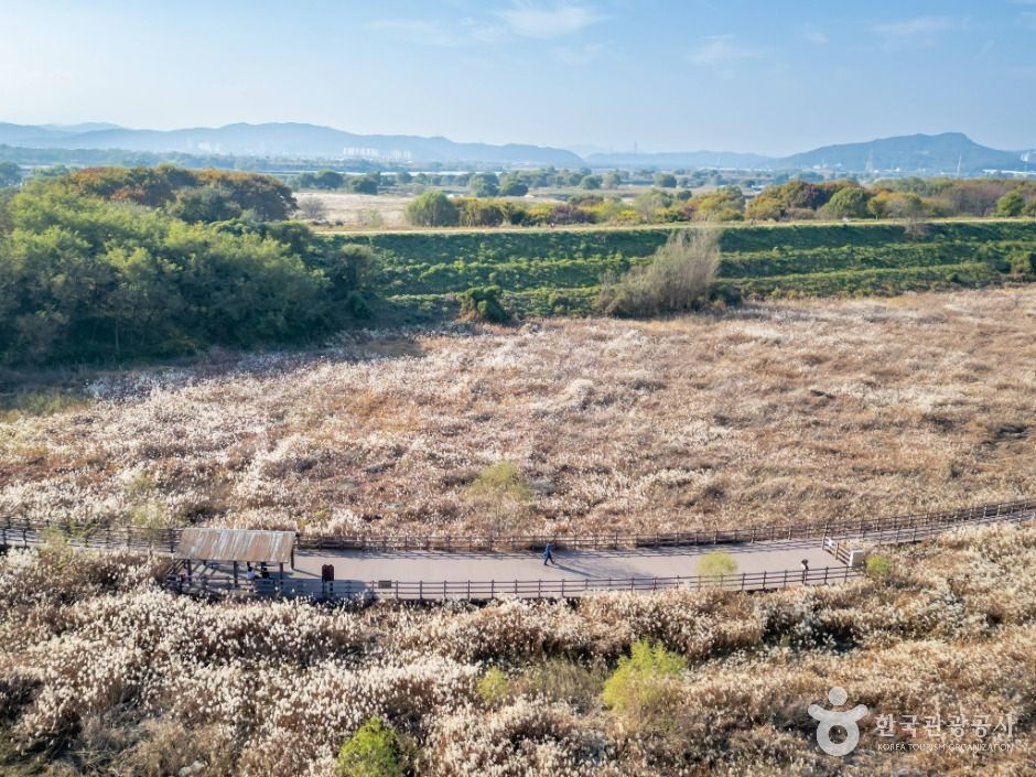 대구_대명유수지 (2)