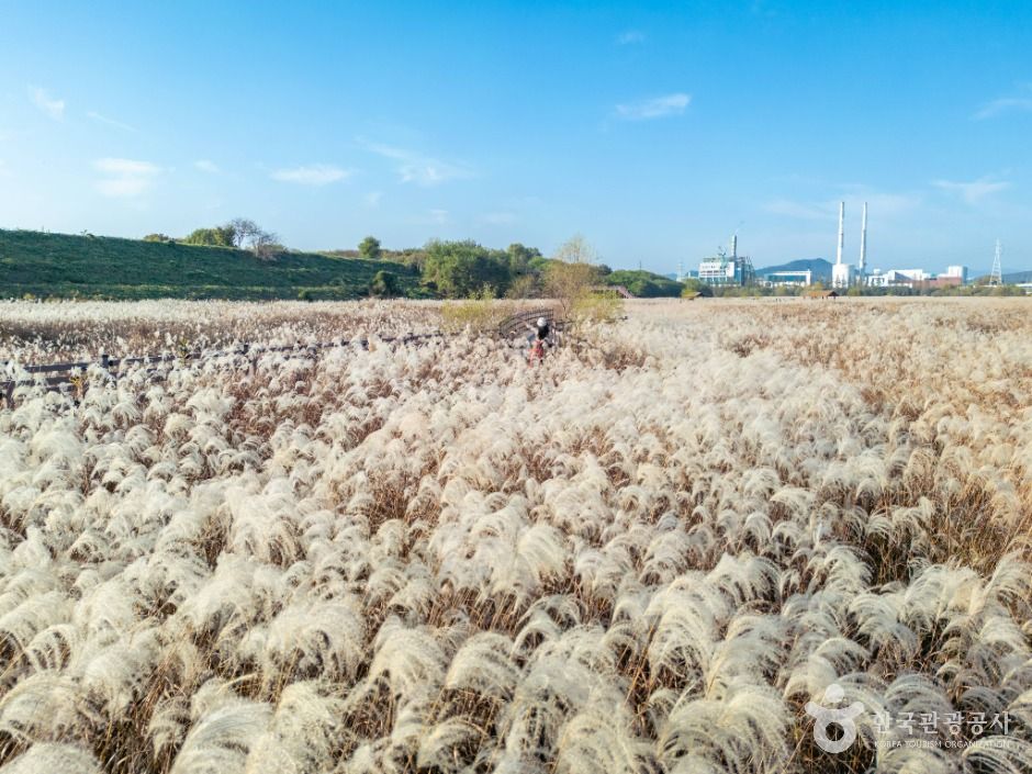 대구_대명유수지 (3)
