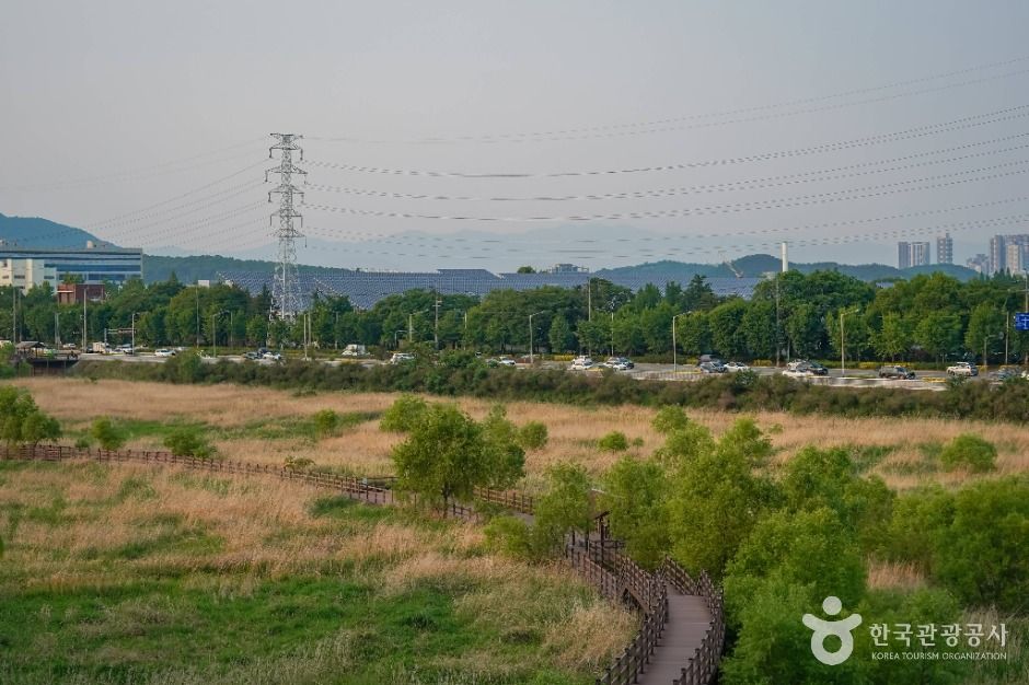대구_대명유수지 (5)