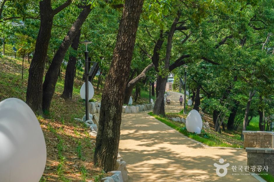 대구_대봉배수지 (5)