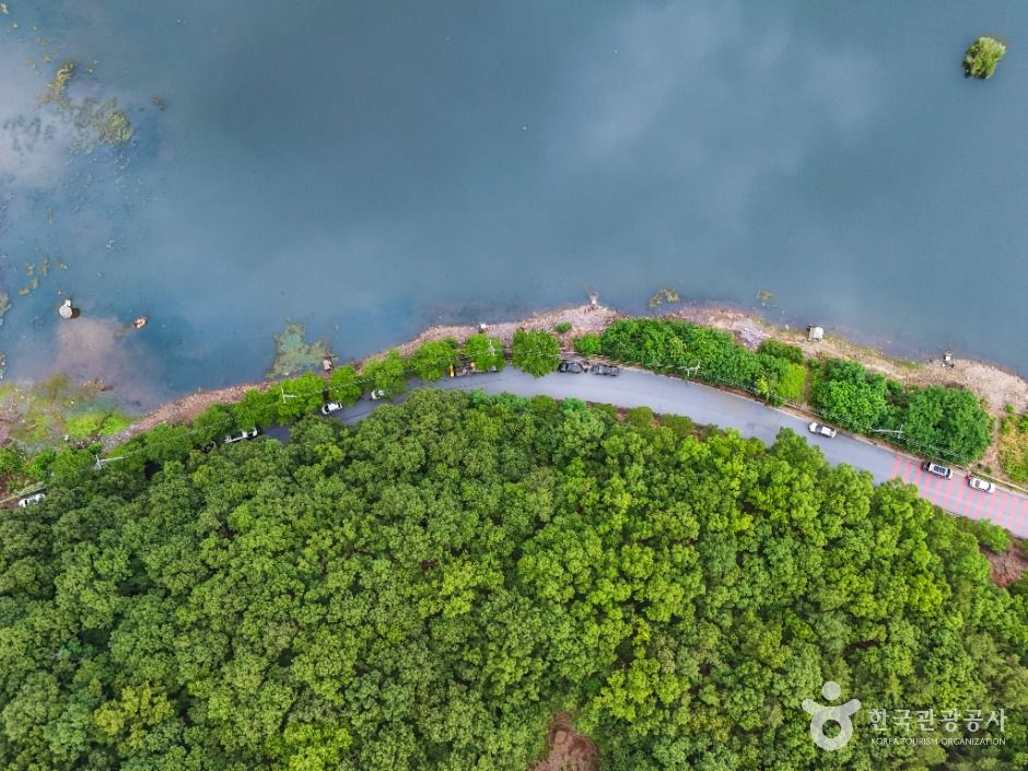 대구_도남지 (3)
