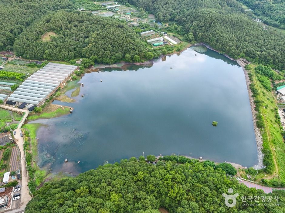 대구_도남지 (4)