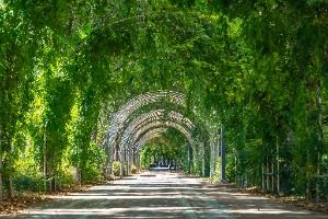 옹기종기행복마을