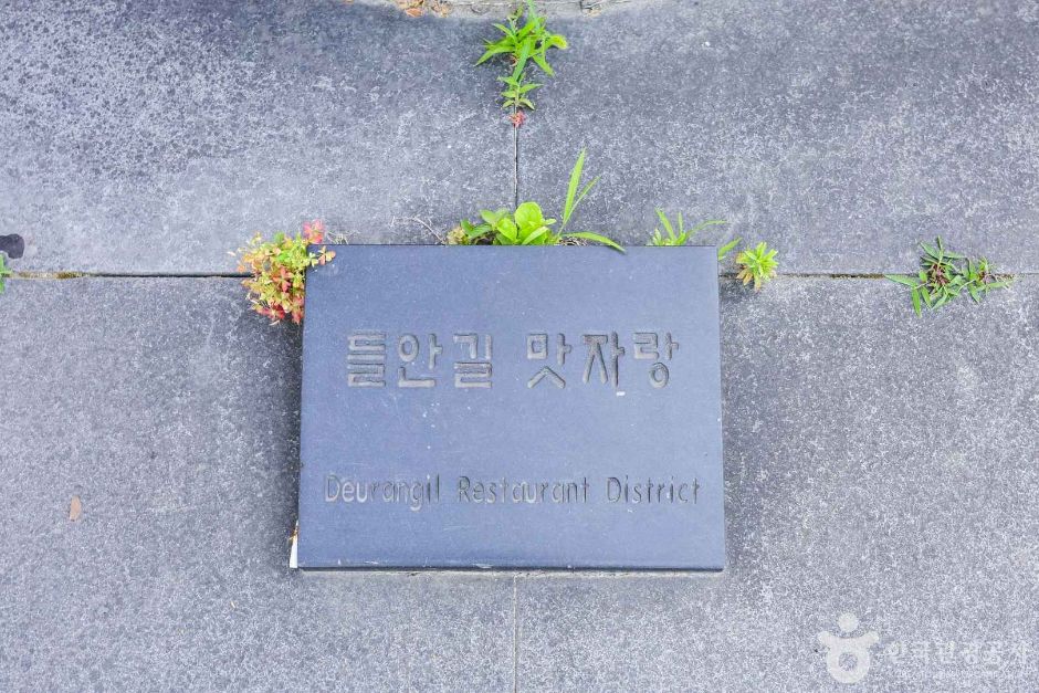 대구수성구_들안길먹거리타운 (4)