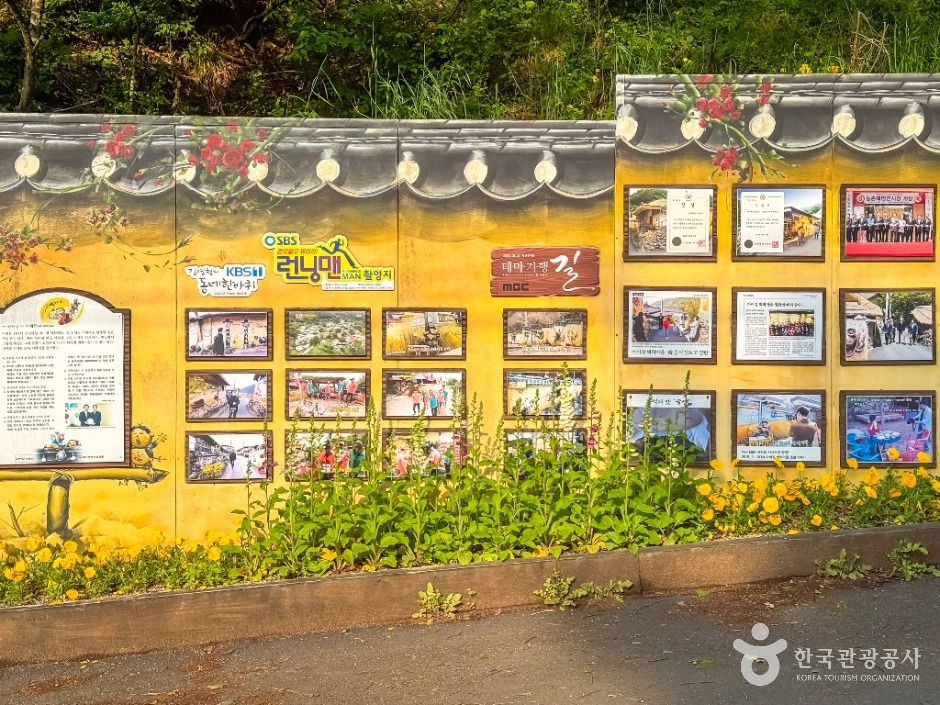 달성_마비정 벽화마을 (5)