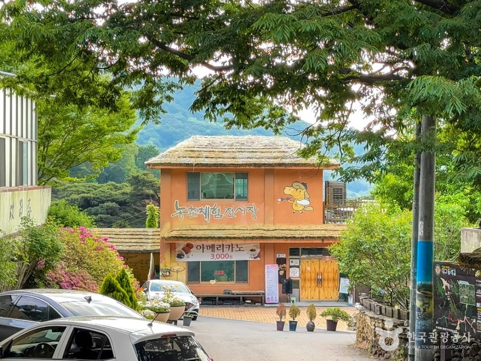 달성_마비정 벽화마을 (6)