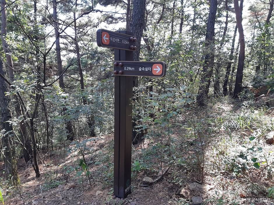 대구_마천산산림욕장 (1)